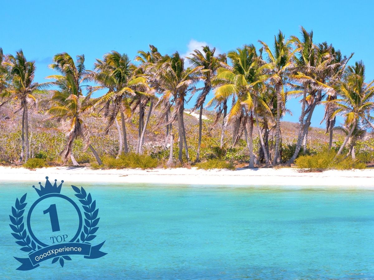 isla contoy www.goodxperience.com (1)
