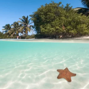 isla contoy + isla mujeres
